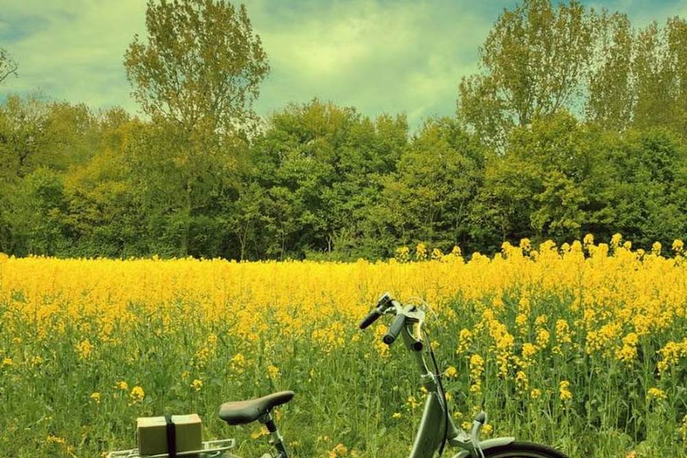 Stadsfiets in een weiland — illustratiefoto bij de vergelijking van stads-e-bikes